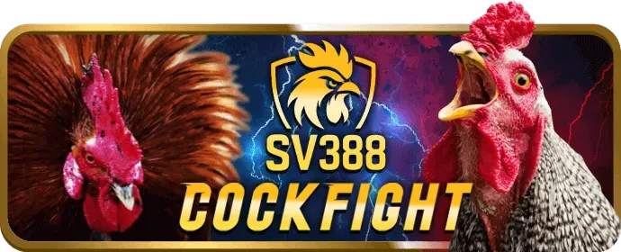 Biểu tượng quản lý tài khoản riêng biệt 24/7 dành cho hội viên VIP kc88 link mới